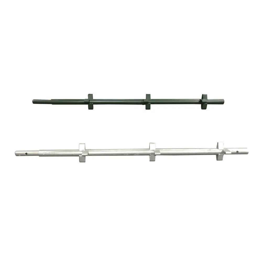 Image of a scaffold standard